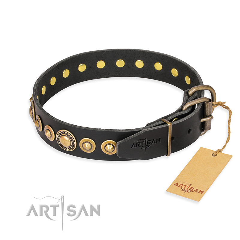 "Gold Mine" FDT Artisan Black Leather Collie Collar with Amazing Bronze-Plated Round Studs