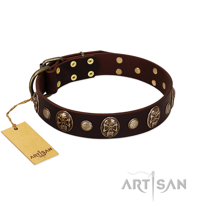 "Snazzy Paws" FDT Artisan Brown Leather Collie Collar Adorned with Conchos and Medallions