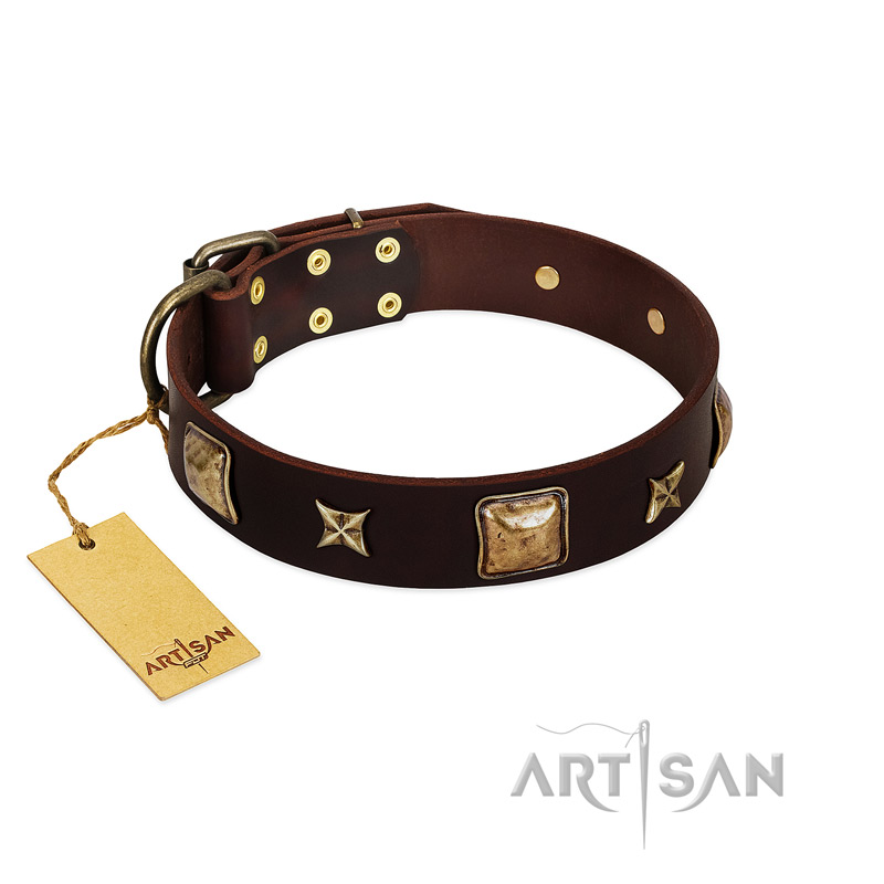 "Choco Dreams" FDT Artisan Brown Leather Collie Collar with Squares and Stars