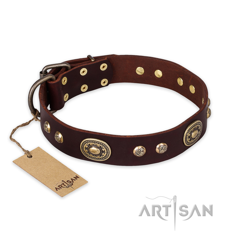 "Breath of Elegance" FDT Artisan Decorated with Plates Brown Leather Collie Collar
