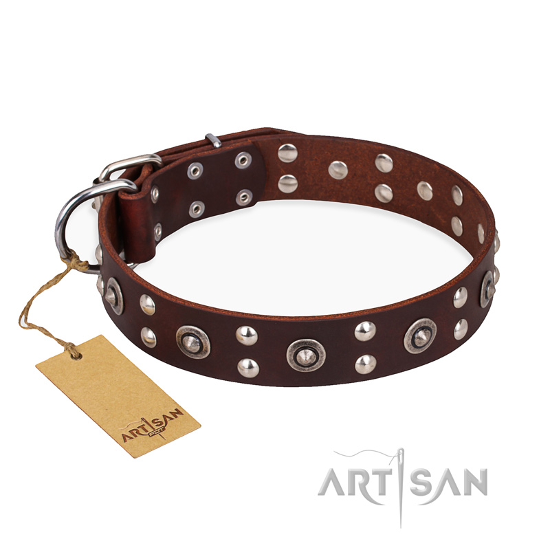 "Pirate Treasure" FDT Artisan Exciting Brown Leather Collie Collar with Studs