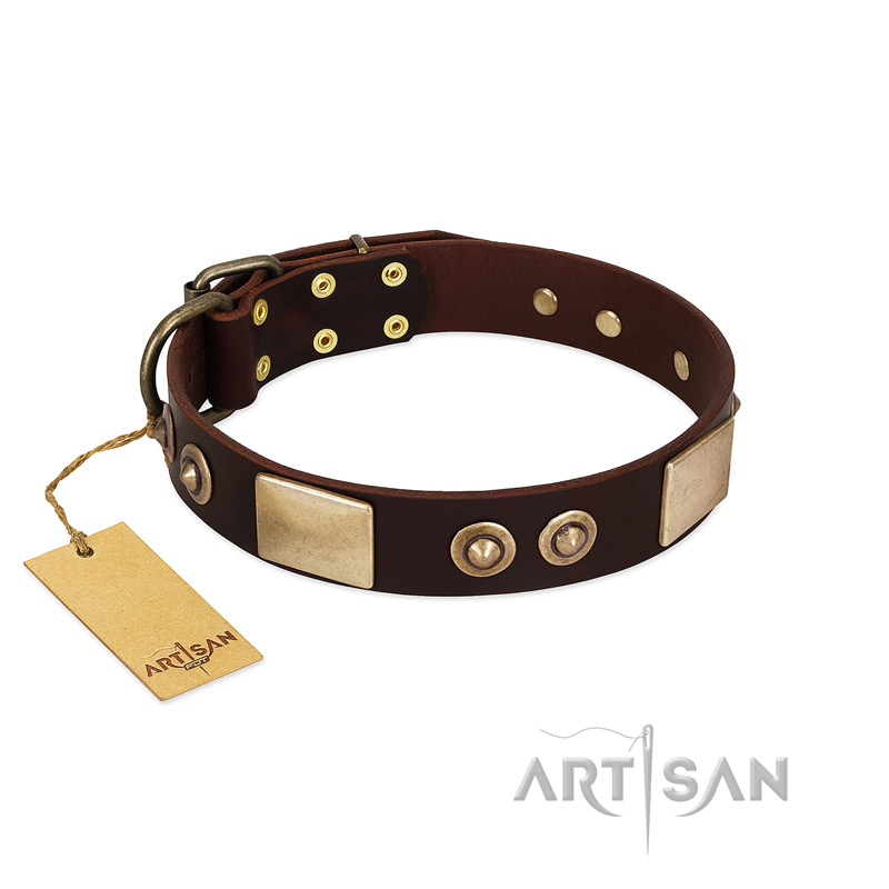 "Sense of Freedom" FDT Artisan Brown Leather Collie Collar with Old Bronze-Plated Studs and Plates