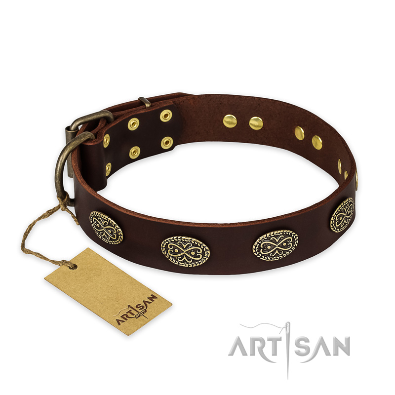 "Chocolate kiss" FDT Artisan Leather Collie Collar with Old Bronze Look Oval Plates
