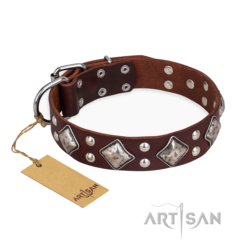 "King of Grace" FDT Artisan Stylish Leather Collie Collar with Old Silver-Like Plated Decorations