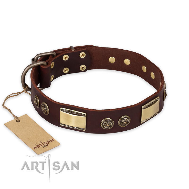 "Golden Stones" FDT Artisan Brown Leather Collie Collar with Old Bronze Look Plates and Circles