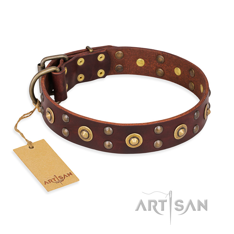 "Caprice of Fashion" FDT Artisan Brown Leather Collie Collar with Round Decorations