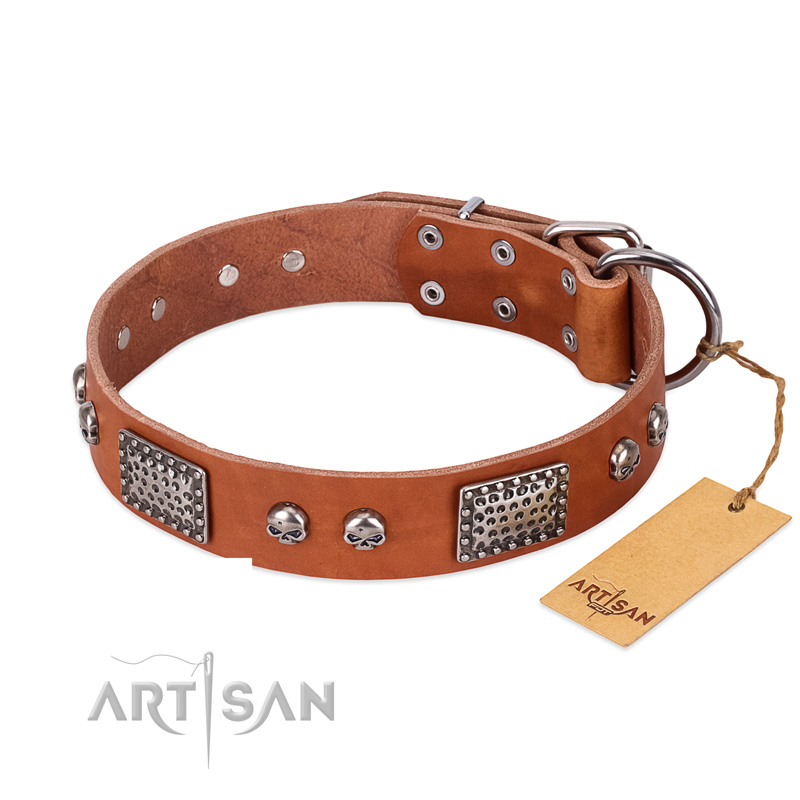 "Sparkling Skull" FDT Artisan Tan Leather Collie Collar with Old Silver Look Plates and Skulls