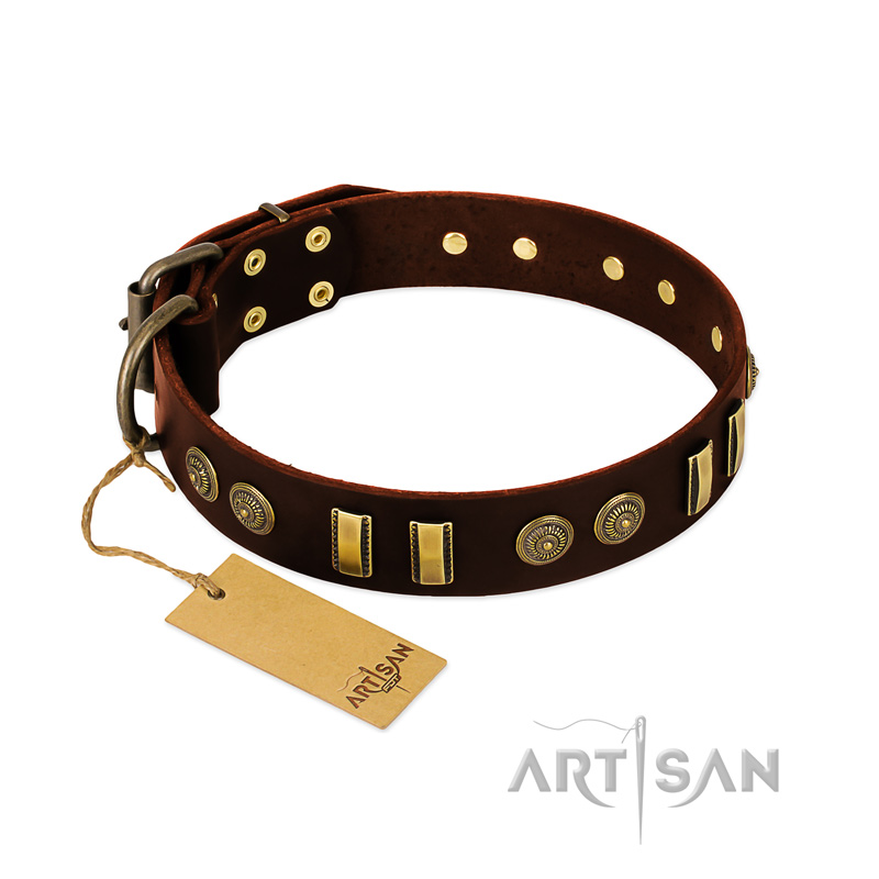"Golden Elegance" FDT Artisan Brown Leather Collie Collar with Old Bronze-like Decorations