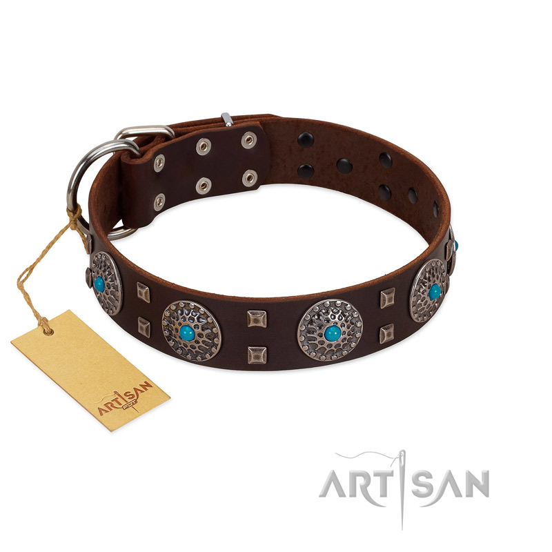 "Hypnotic Stones" FDT Artisan Brown Leather Collie Collar with Chrome Plated Brooches and Square Studs
