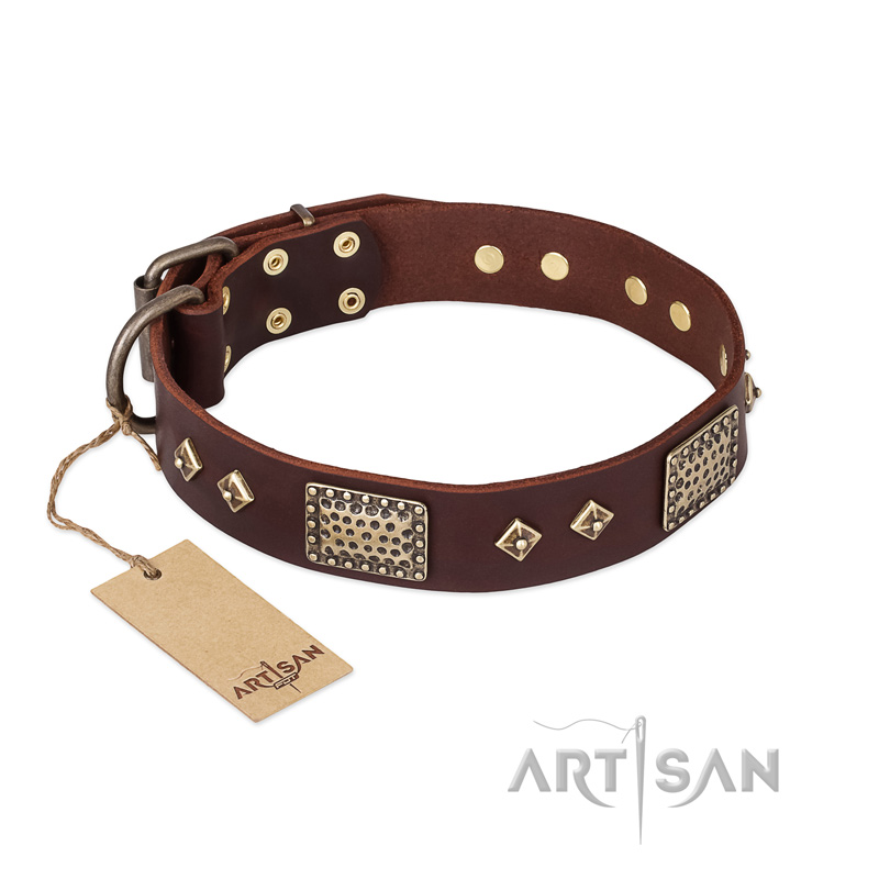 "Loving Owner" FDT Artisan Decorated Leather Collie Collar with Plates and Studs