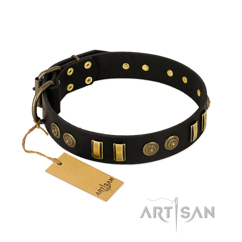 "Simple Elegance" FDT Artisan Black Leather Collie Collar with Old Bronze-like Plates and Circles