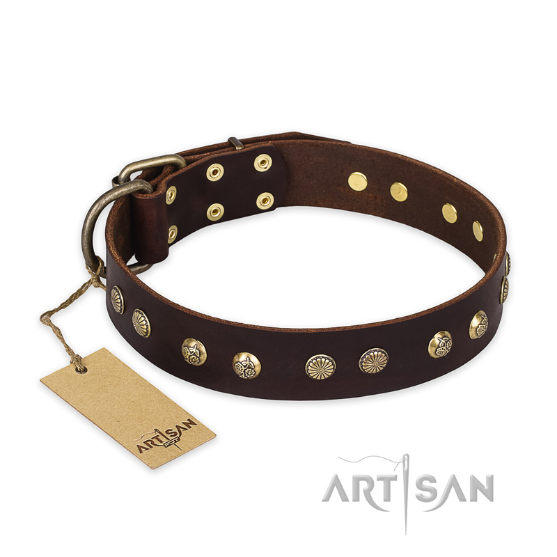"Bronze Sheen" FDT Artisan Leather Collie Collar with Brass-Plated Studs