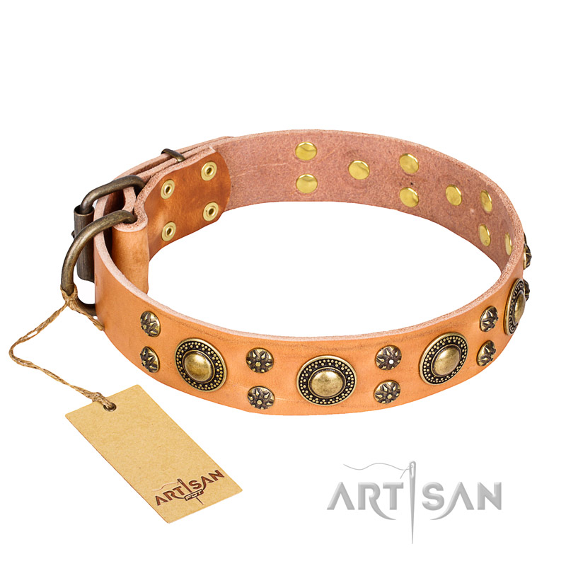 "Sophisticated Glamor" FDT Artisan Leather Collie Collar with Fancy Old Bronze-like Plated Decorations