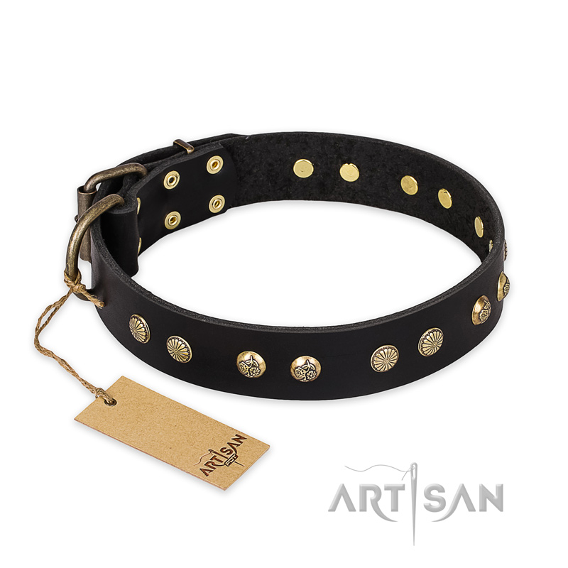 "Black Elegance" FDT Artisan Leather Collie Collar with Round Studs