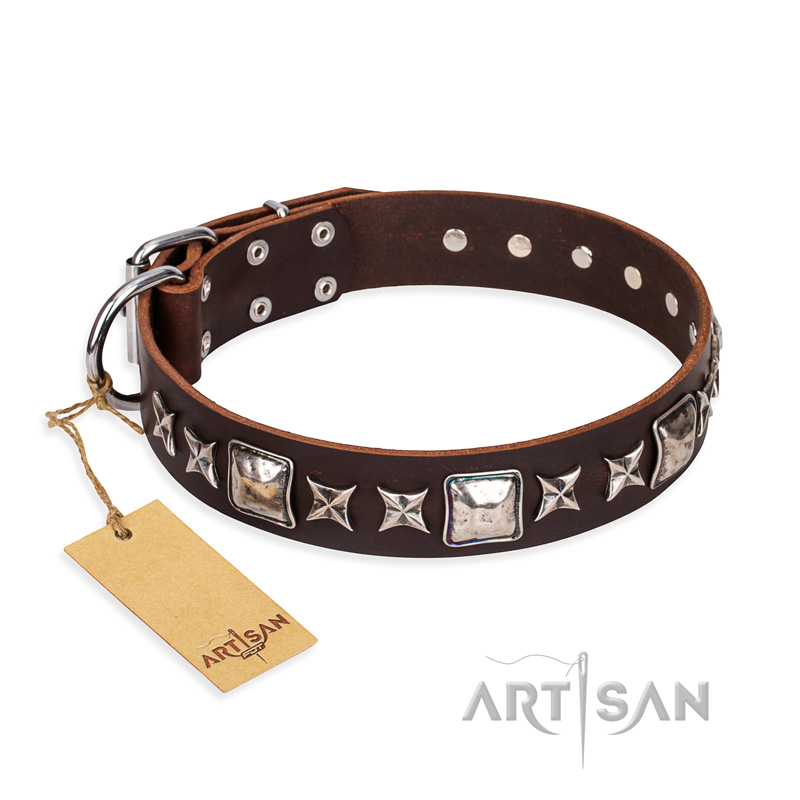 "Perfect Impression" FDT Artisan Brown Leather Collie Collar with Silvery Square Studs
