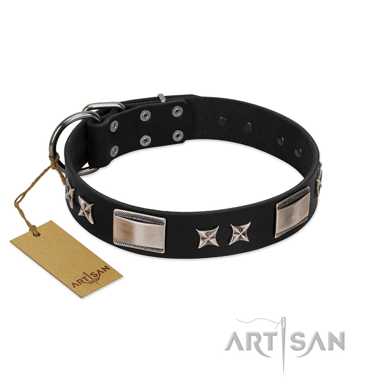 "Pitch Dark" FDT Artisan Black Leather Collie Collar with Stars and Plates