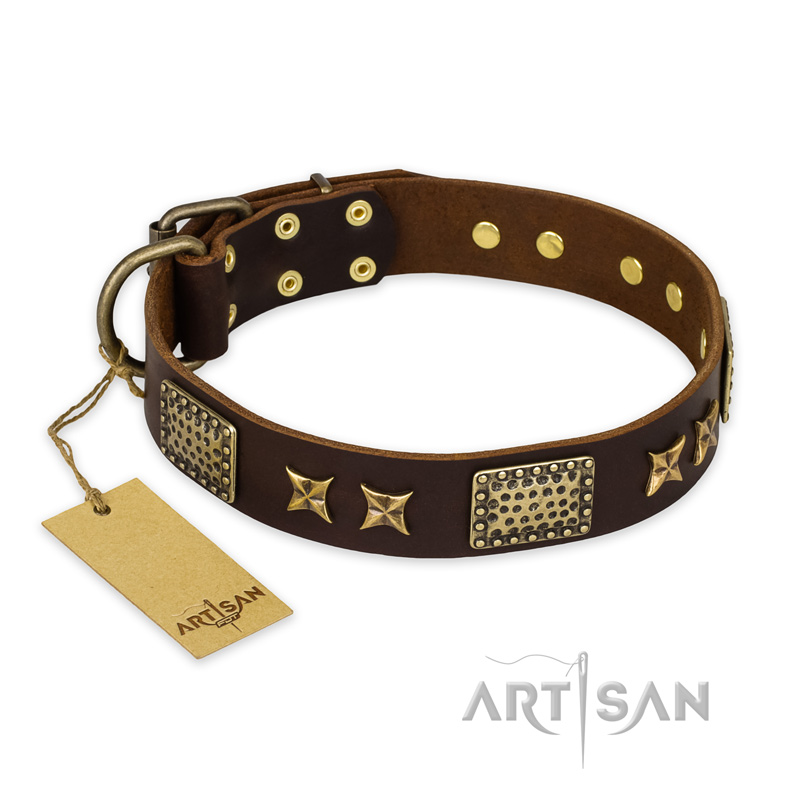 "Sparkling Bronze" FDT Artisan Genuine Leather Collie Collar with Bronze Look Stars and Plates