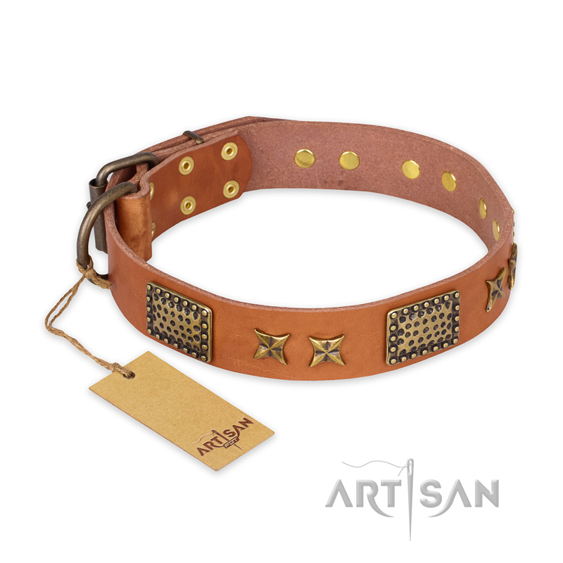 "Cosmic Traveller" FDT Artisan Adorned Leather Collie Collar with Old Bronze-Plated Stars and Plates
