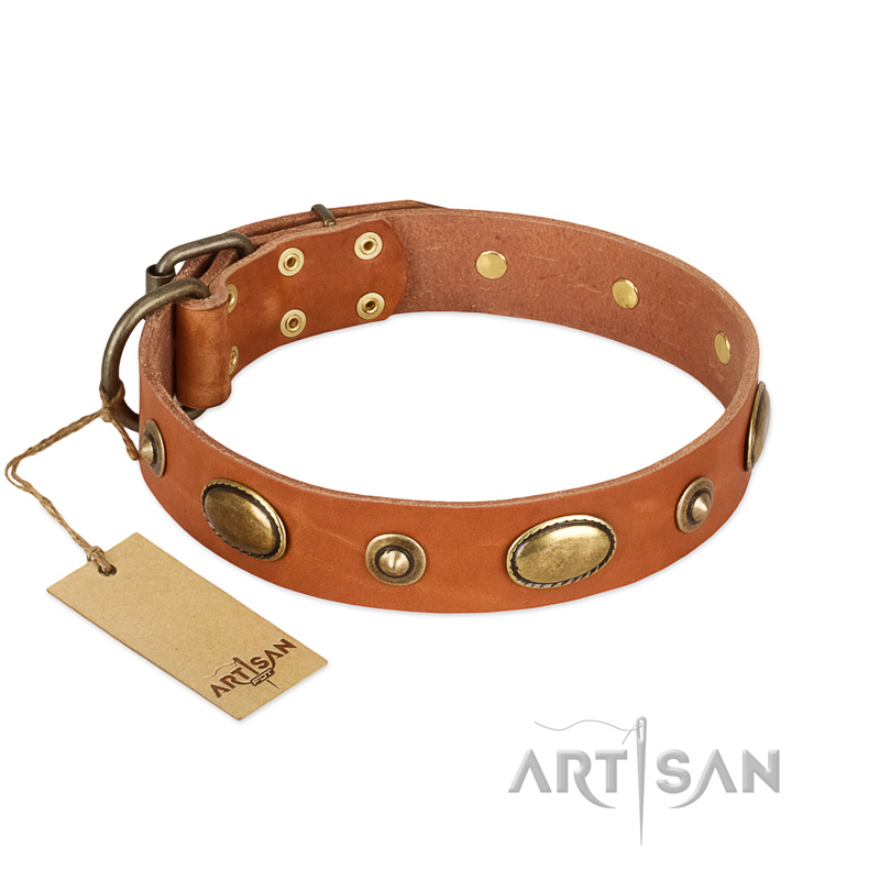 "Visual Magic" FDT Artisan Tan Leather Collie Collar for Daily Activities