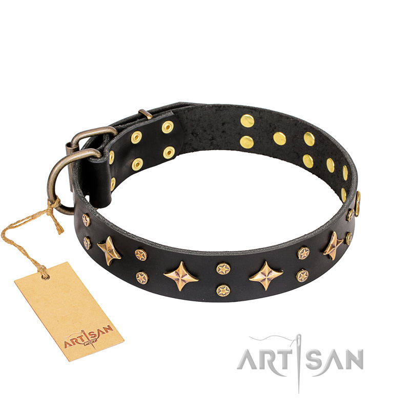 "A La Mode" FDT Artisan Handcrafted Black Leather Collie Collar