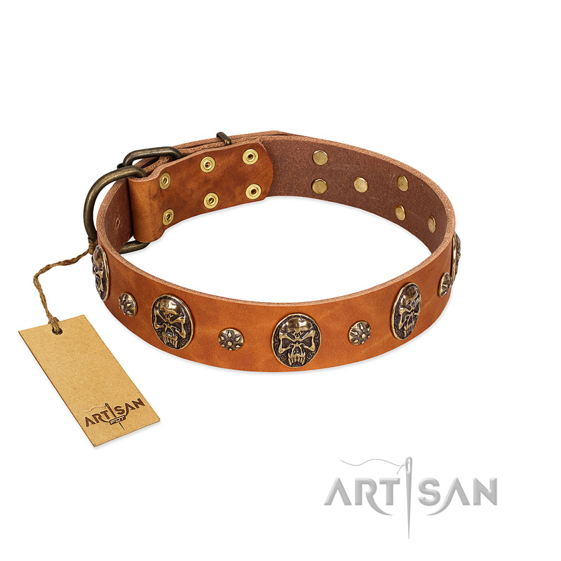 "Rockstar" FDT Artisan Tan Leather Collie Collar with Engraved Studs and Medallions