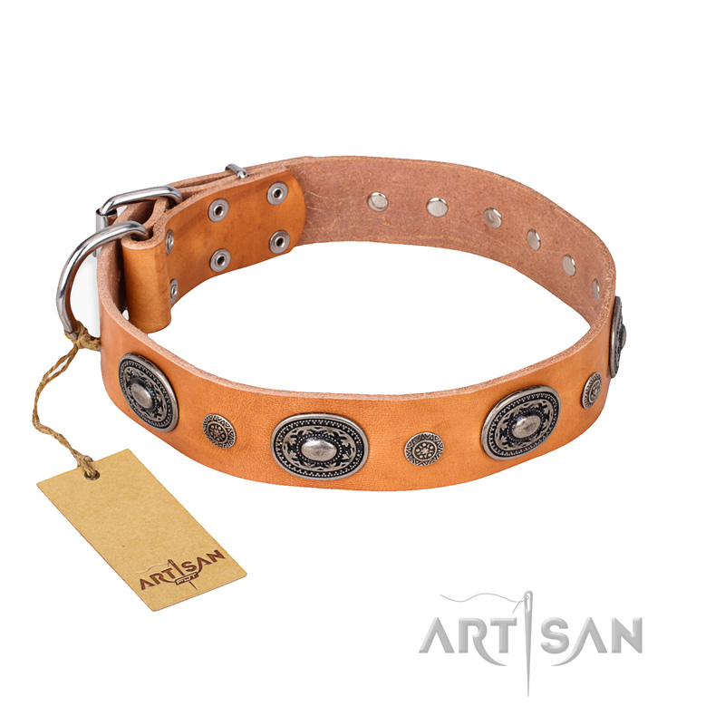 "Twinkle Twinkle" FDT Artisan Incredible Studded Tan Leather Collie Collar - Click Image to Close