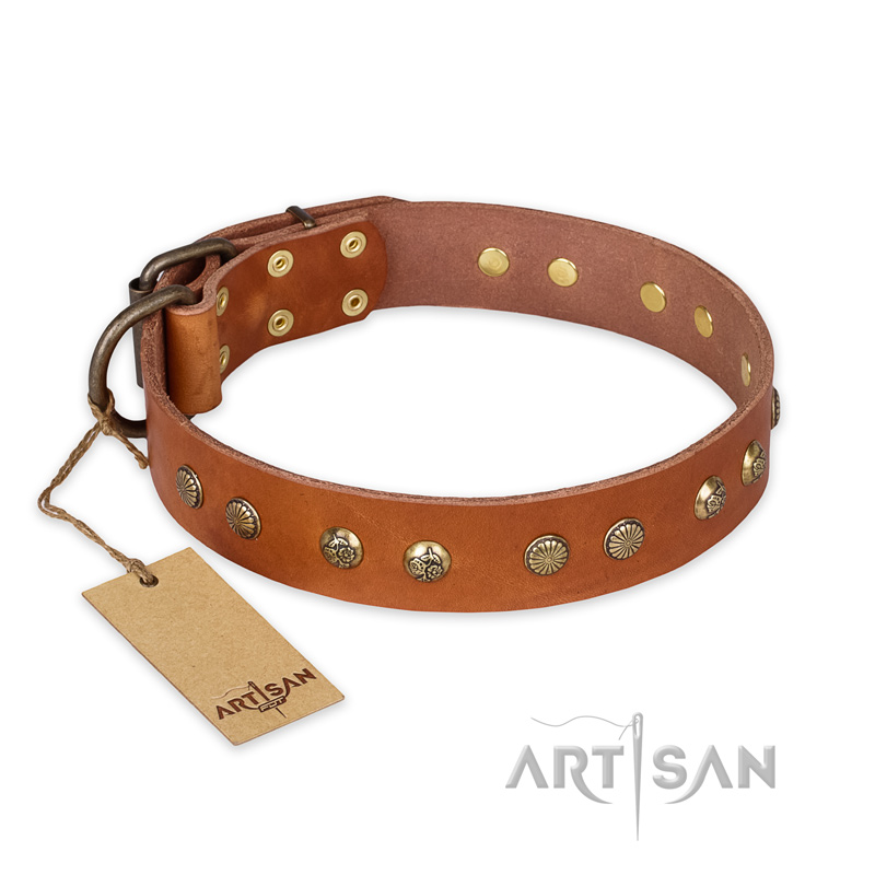 "Spring Flavor" FDT Artisan Adorned Leather Collie Collar with Old Bronze-Plated Engraved Studs
