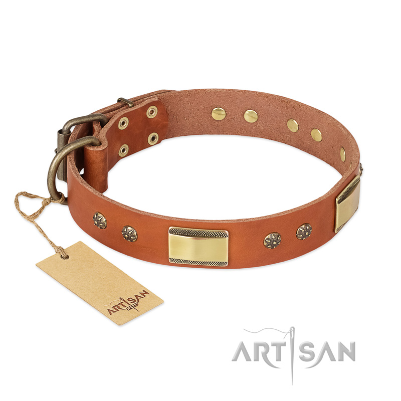 "Enchanting Spectacle" FDT Artisan Tan Leather Collie Collar with Old Bronze Look Plates and Round Studs