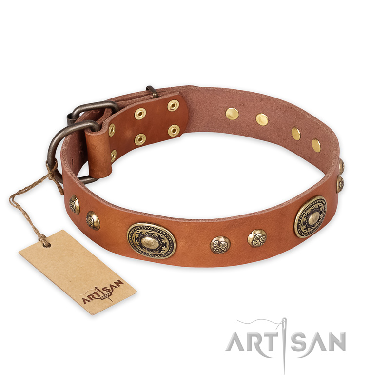 "Stunning Dress" FDT Artisan Tan Leather Collie Collar with Old Bronze Look Plates and Studs