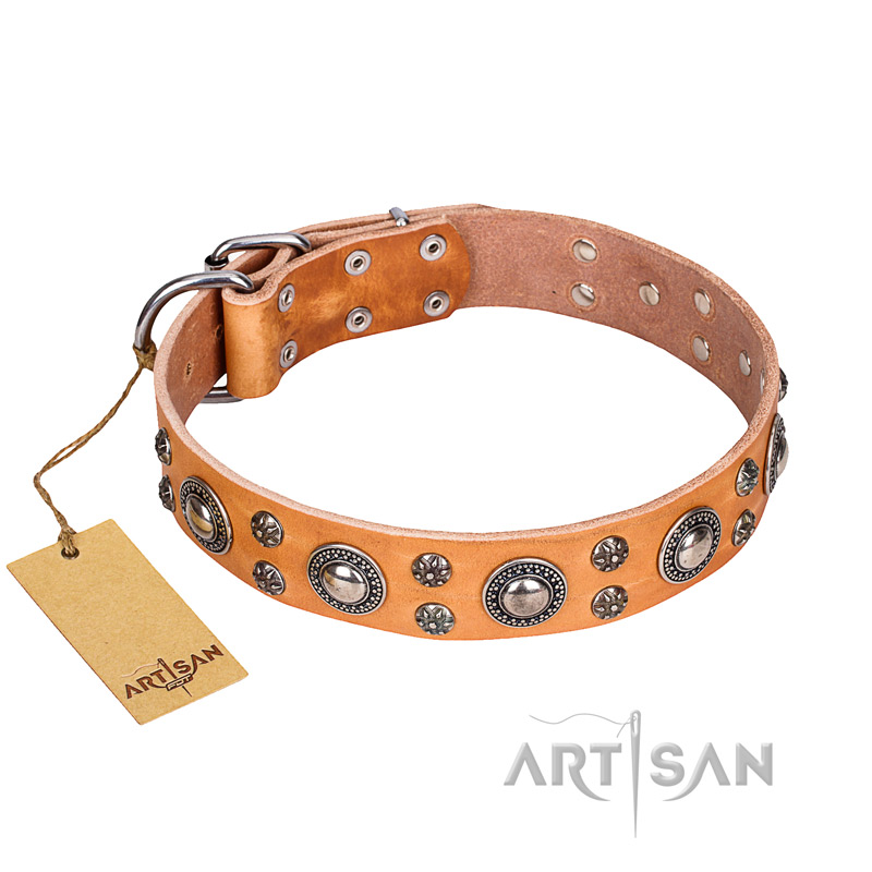 "Extra Sparkle" FDT Artisan Handcrafted Tan Leather Collie Collar