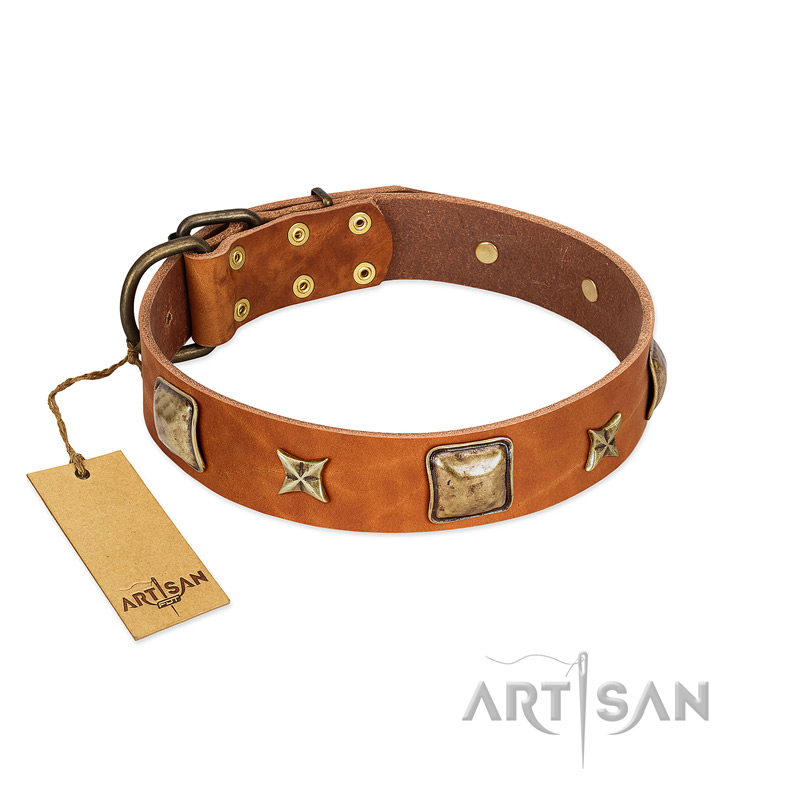 "Celtic Tunes" FDT Artisan Tan Leather Collie Collar Adorned with Stars and Squares