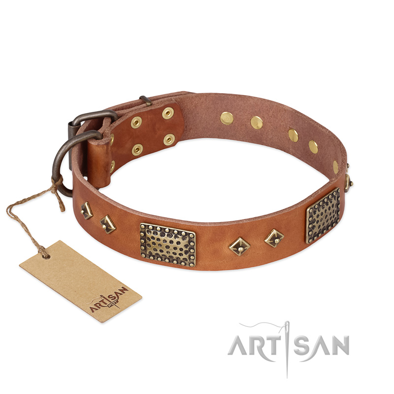 "Catchy Look" FDT Artisan Decorated Tan Leather Collie Collar
