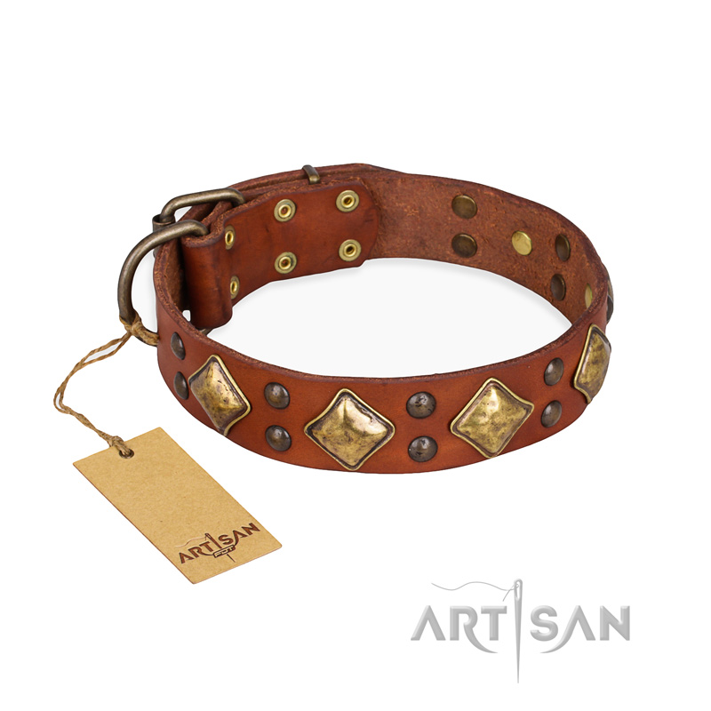 "Flight of Fancy" FDT Artisan Adorned Leather Collie Collar
