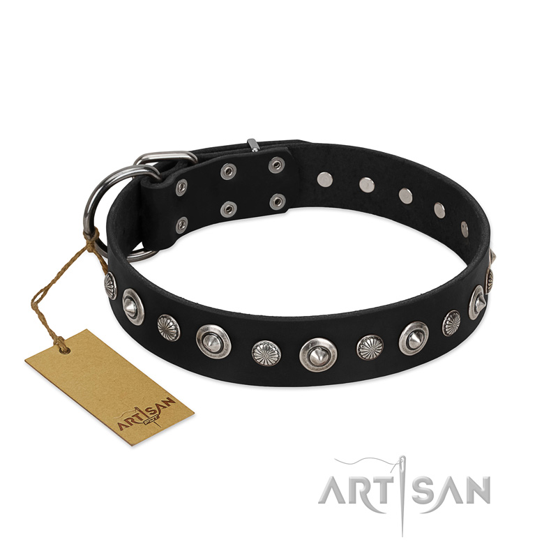 "Genteel Charm" FDT Artisan Black Leather Collie Collar with Silver-like Round Conchos