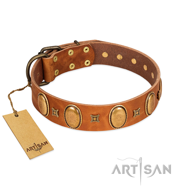 "Glossy Autumn" Designer Handmade FDT Artisan Tan Leather Collie Collar with Ovals and Studs
