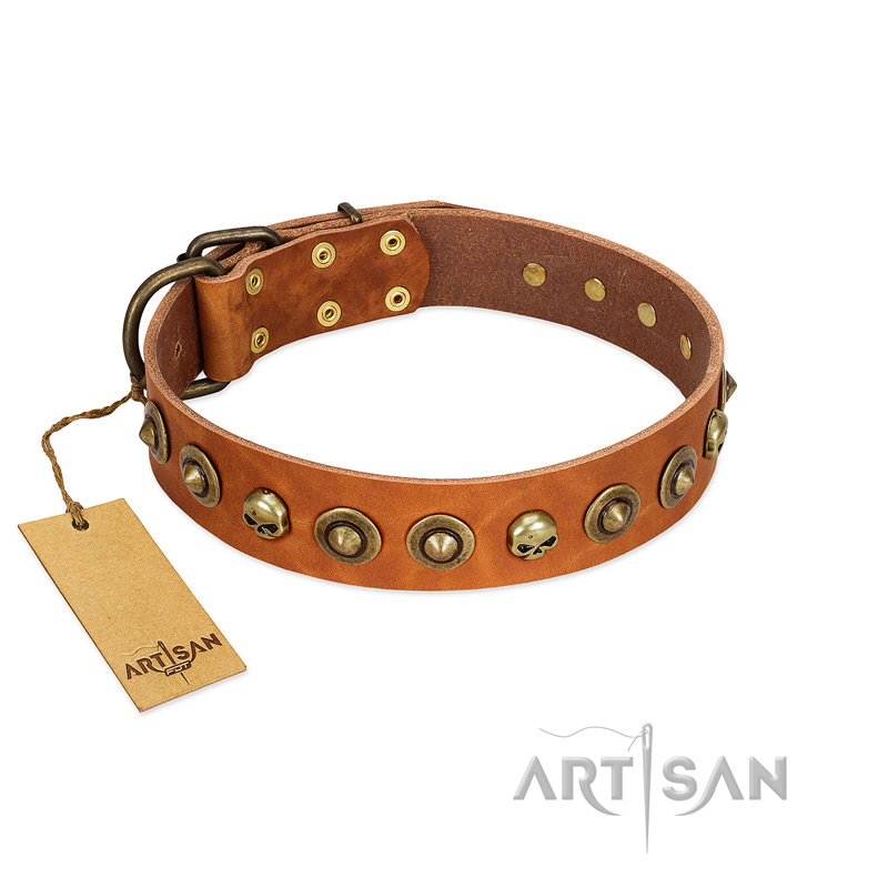 "Prez of the Pack" FDT Artisan Tan Leather Collie Collar with Skulls and Brooches