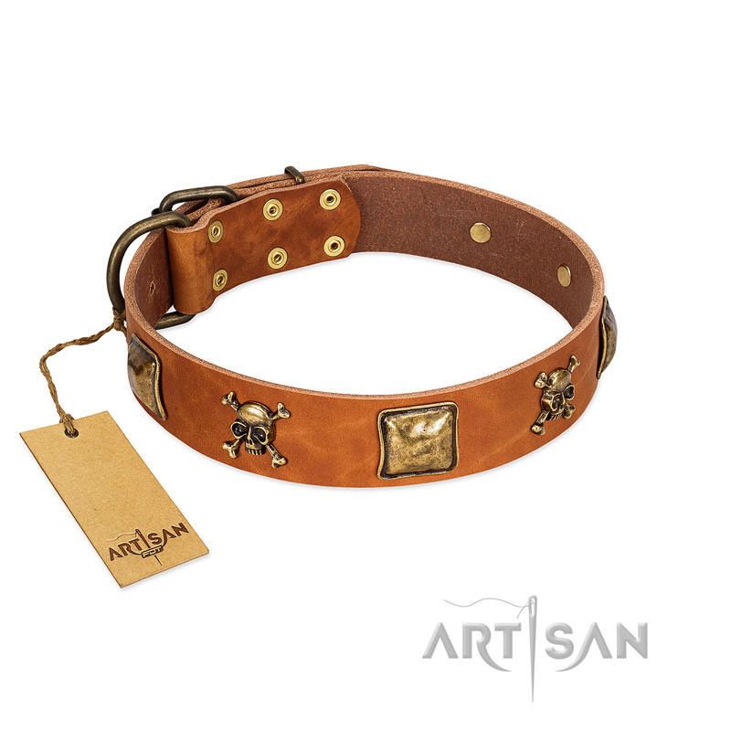 "Knights Templar" FDT Artisan Tan Leather Collie Collar with Skulls and Crossbones Combined with Squares