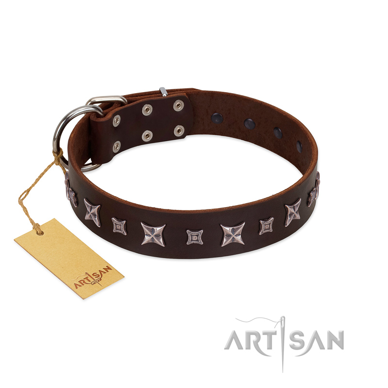 "Stellar Fairy " FDT Artisan Brown Leather Collie Collar with Chrome-plated Star-like Decorations