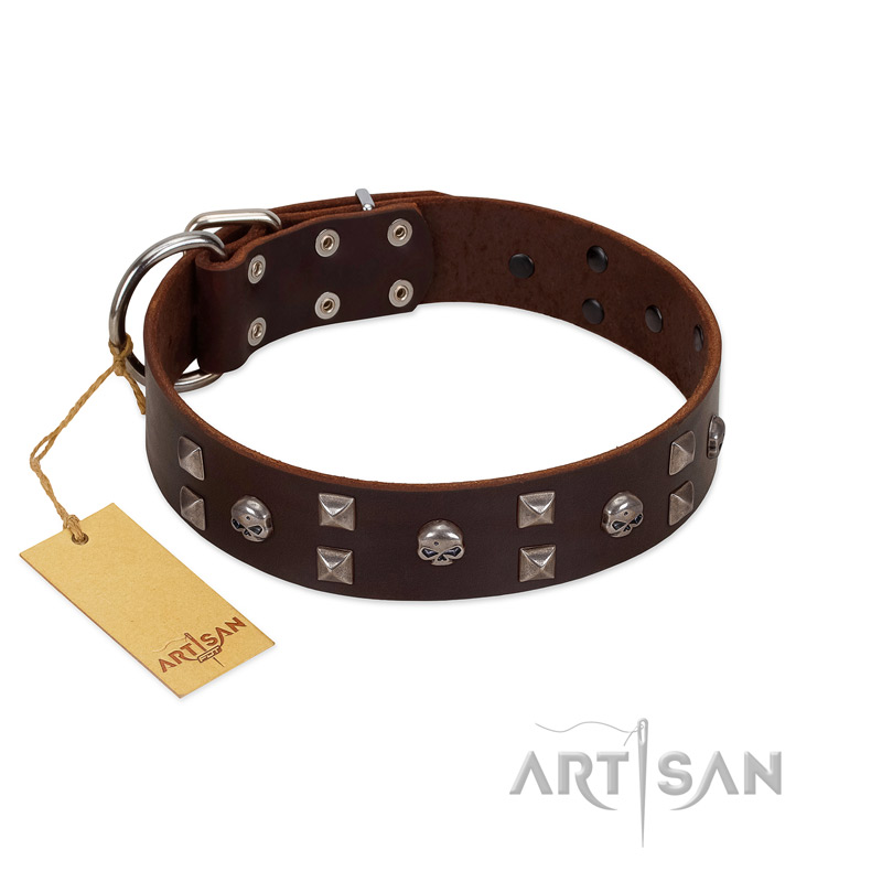 "Brown Shadow" Designer Handmade FDT Artisan Brown Leather Collie Collar