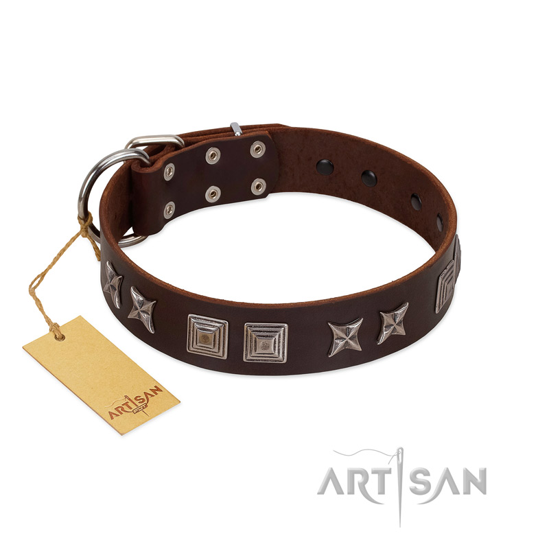 "Needle Stories" Modern FDT Artisan Brown Leather Collie Collar with Square Engraved Plates and Four-Point Stars