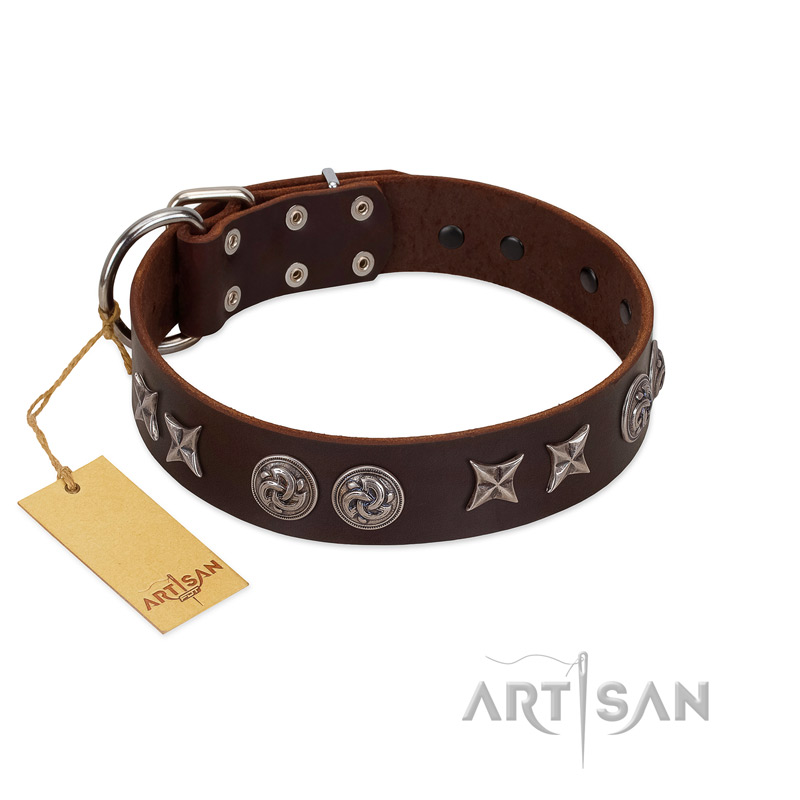 "Silver Sunset" Designer Handmade FDT Artisan Brown Leather Collie Collar