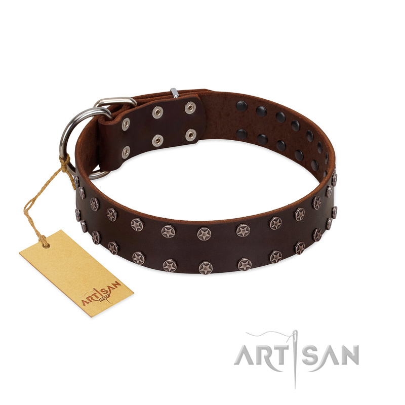 "Star Party" Handmade FDT Artisan Brown Leather Collie Collar with Silver-Like Studs - Click Image to Close