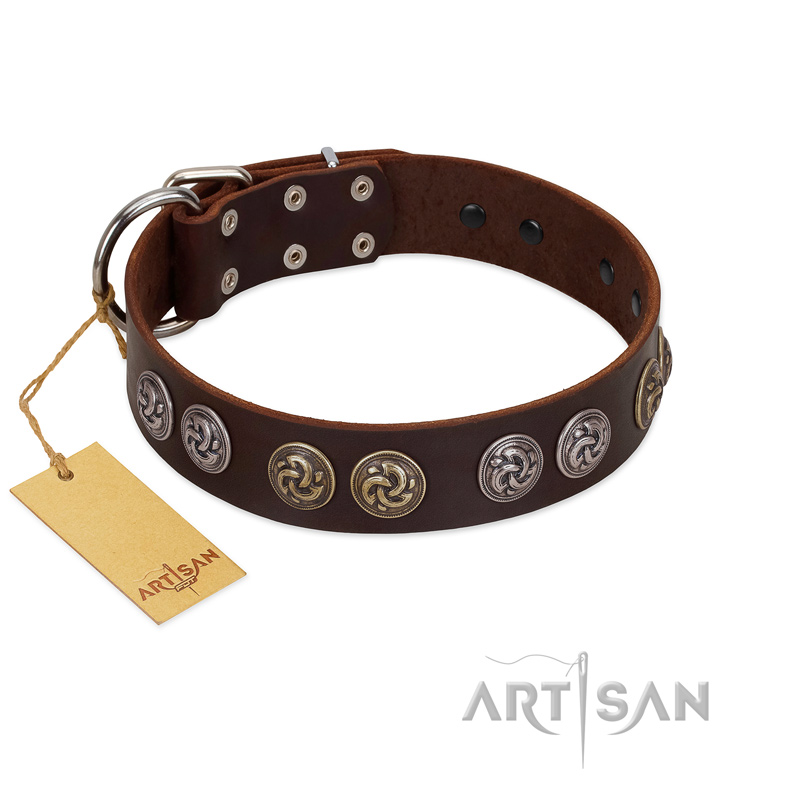"Treasure Hunter" FDT Artisan Brown Leather Collie Collar with Old-Bronze-like and Silvery Medallions
