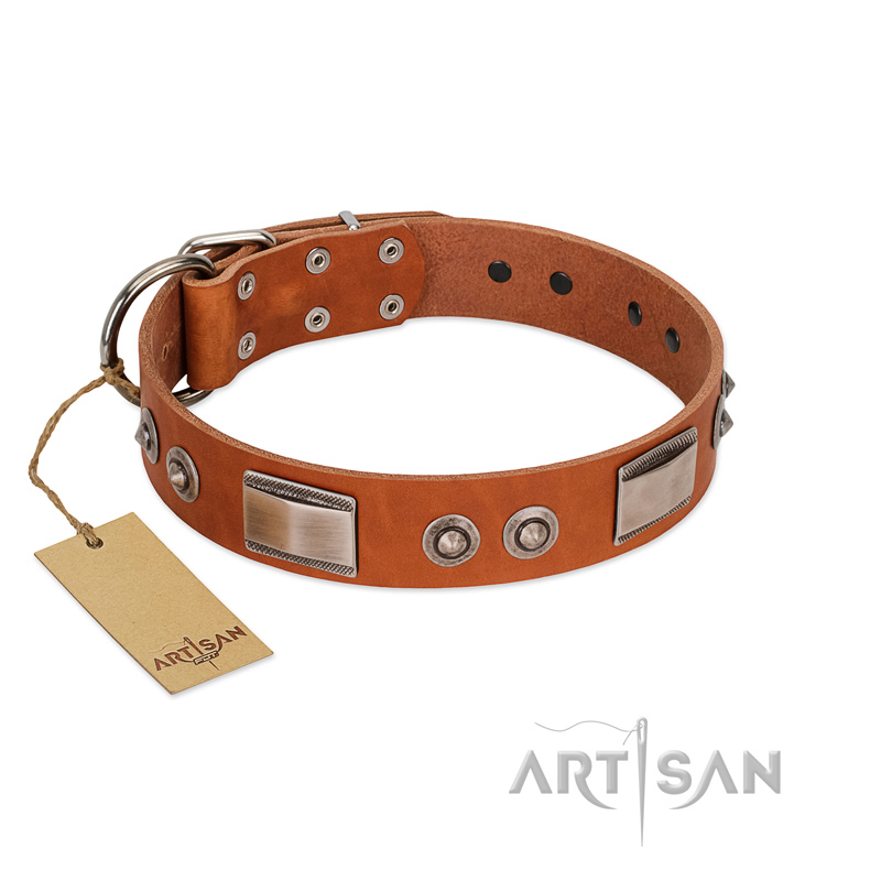 "Pawsy Glossy" FDT Artisan Exclusive Tan Leather Collie Collar 1 1/2 inch (40 mm) wide