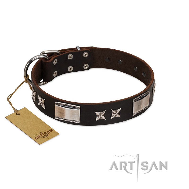 "Satin Beauts" FDT Artisan Brown Leather Collie Collar with Stars and Plates