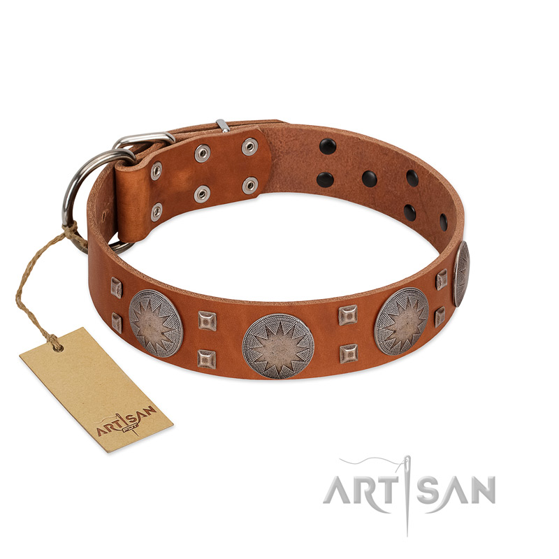 "Sun Rise Noon" FDT Artisan Tan Leather Collie Collar with Unique Design