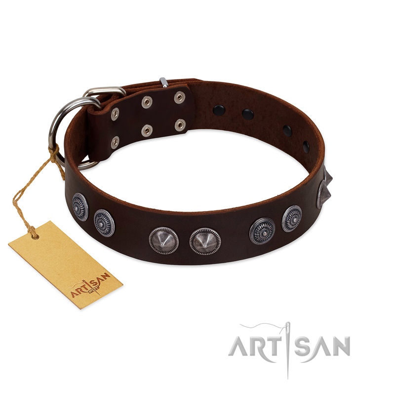 "King Arthur" FDT Artisan Brown Leather Collie Collar with Spiky Plates