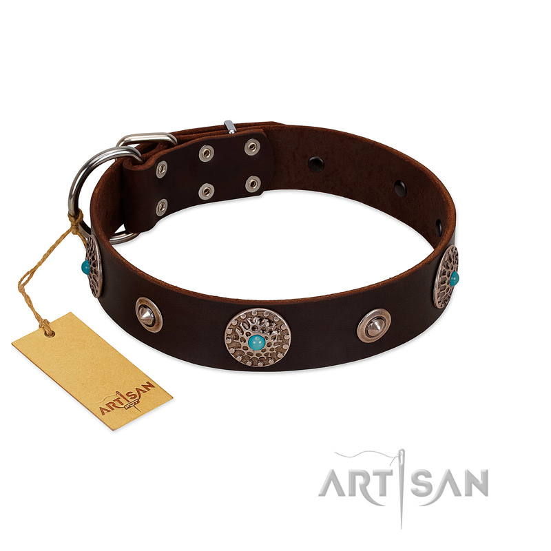 "Magic Stones" FDT Artisan Brown Leather Collie Collar with Chrome Plated Brooches and Studs