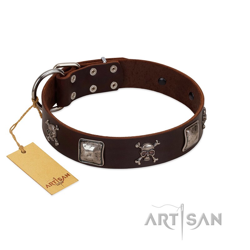 "Nut-Brown Finery" Embellished FDT Artisan Brown Leather Collie Collar with Chrome Plated Crossbones and Plates