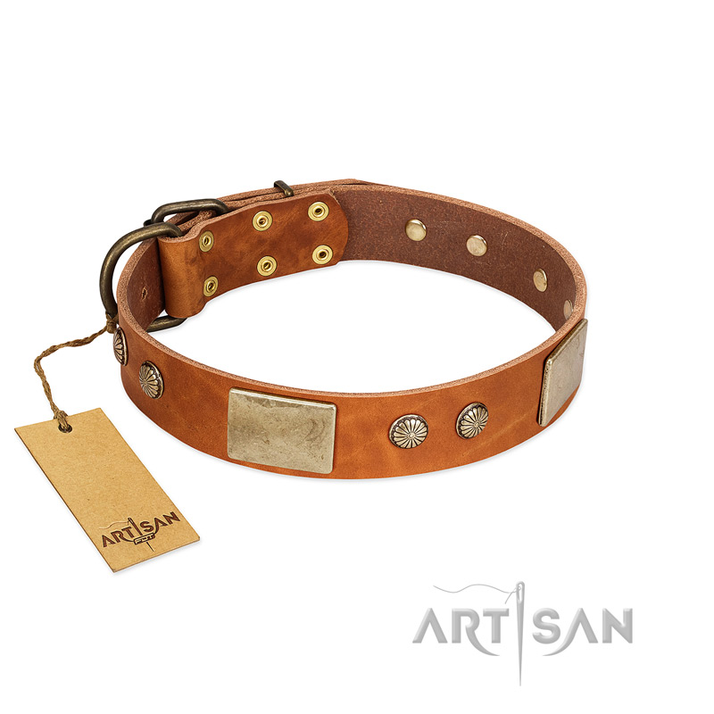 "Ancient Treasures" FDT Artisan Tan Leather Collie Collar with Antiqued Plates and Studs